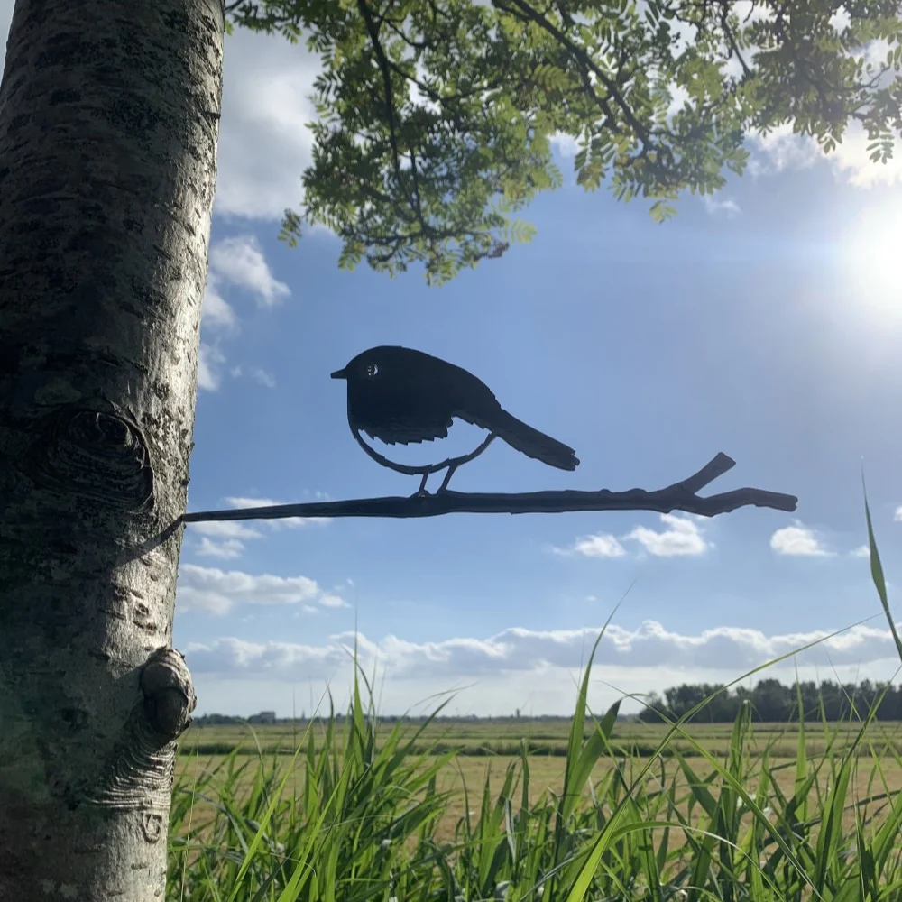 Roodborstje - Afbeelding 3