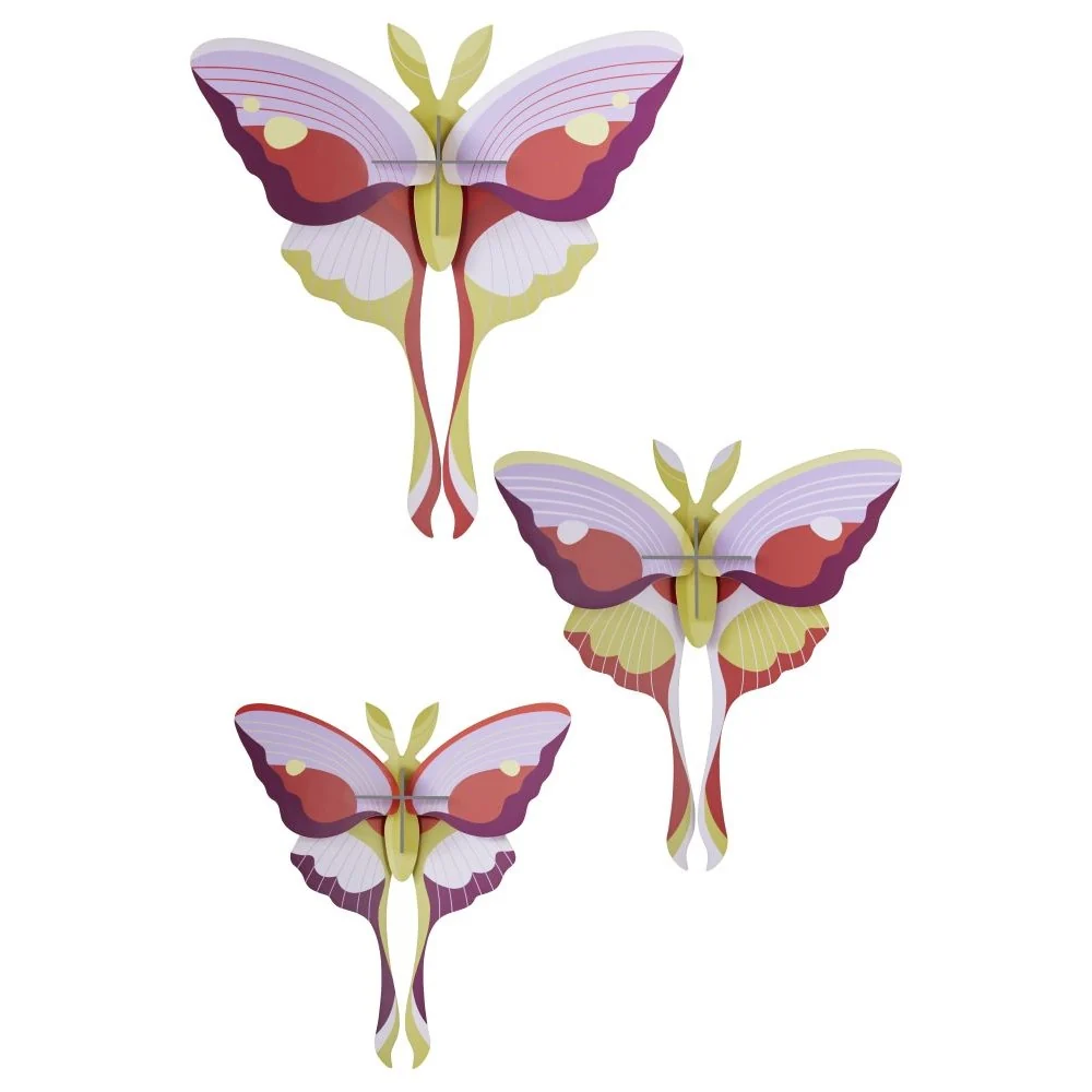 Vlinders, Set/3 - Diverse Varianten - Afbeelding 9