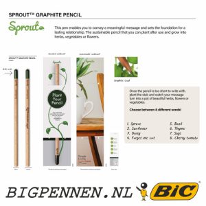BIC® Sprout Graphite Pencil