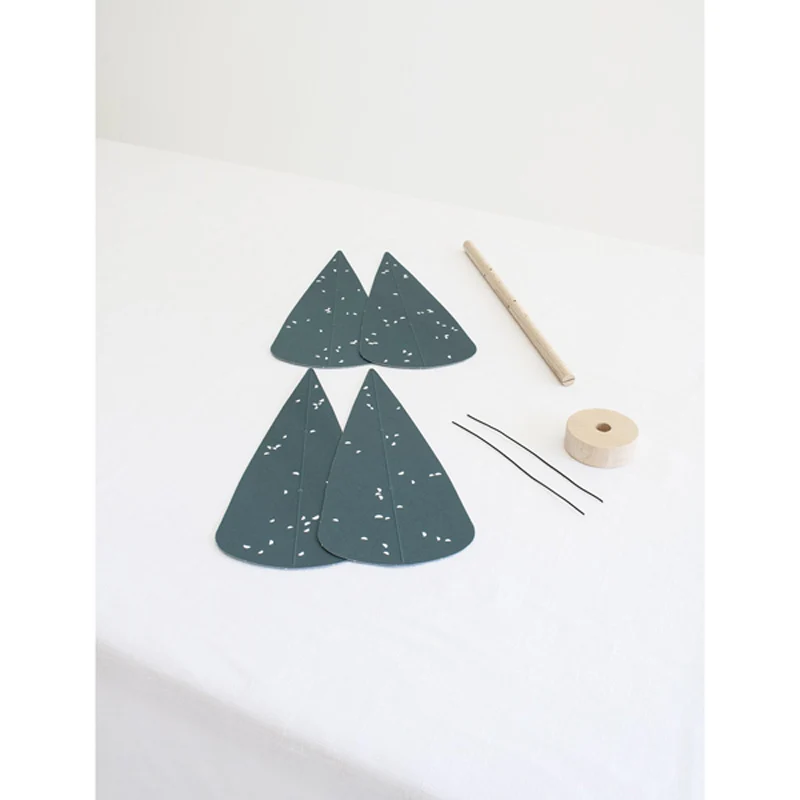 CYPRESS Tree - Diverse Kleuren - Afbeelding 6