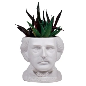 UPG Plantenpot - Edgar Allan Poe